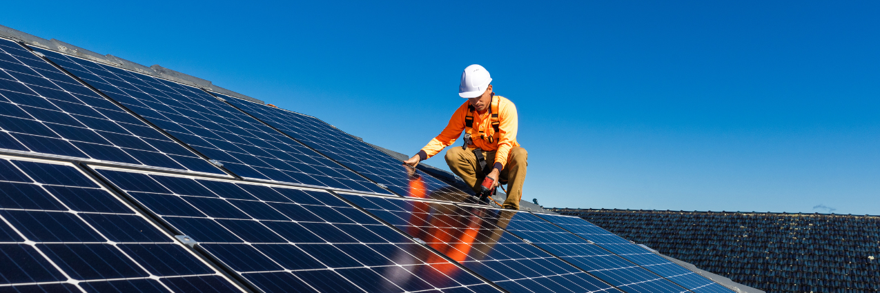 TenneT en Liander presenteren maatregelen om overbelasting van het elektriciteitsnet te voorkomen